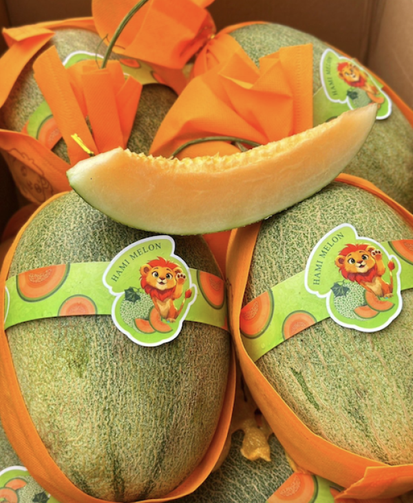 แตงฑิเบต