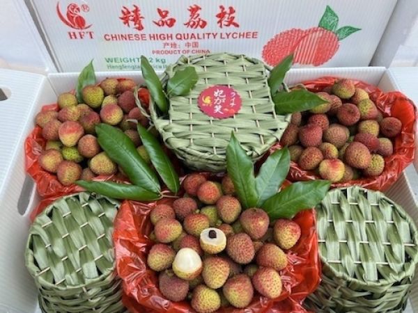 ลิ้นจี่ สายพันธุ์สนมยิ้ม